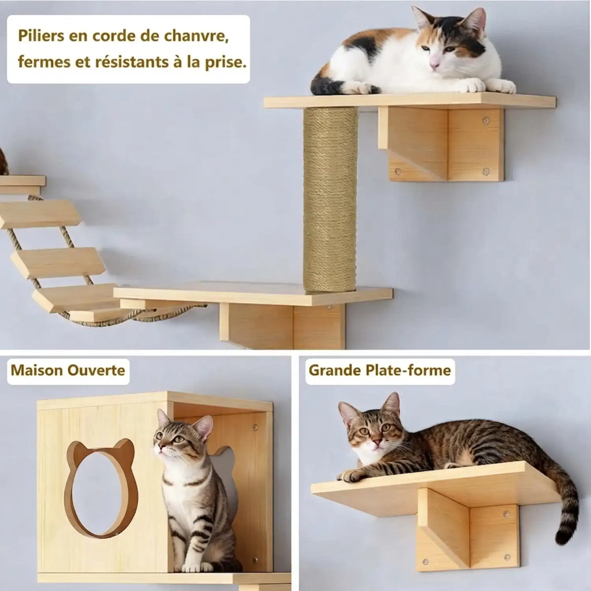 arbre à chat mural