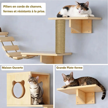 arbre à chat mural