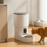 Distributeur Croquettes WiFi ou Boutons – Écran LCD, Hauts Rebords