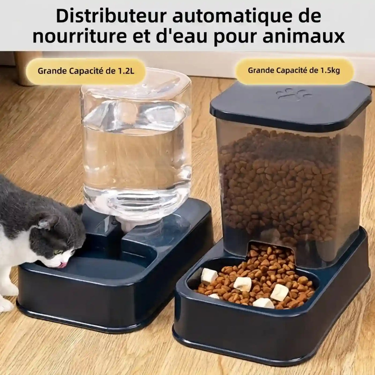 distributeur eau chat