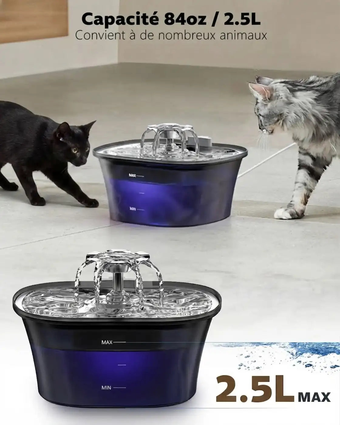 fontaine chat