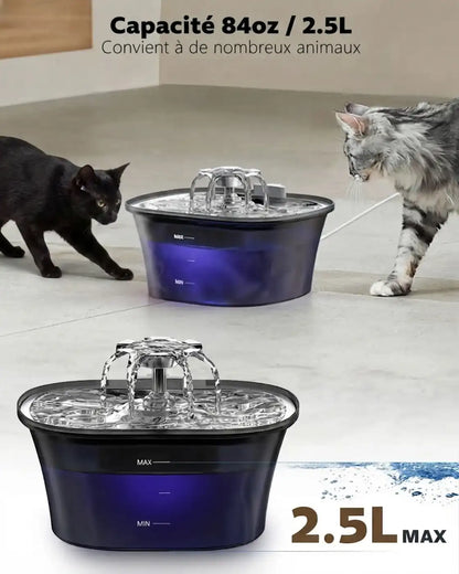 fontaine chat