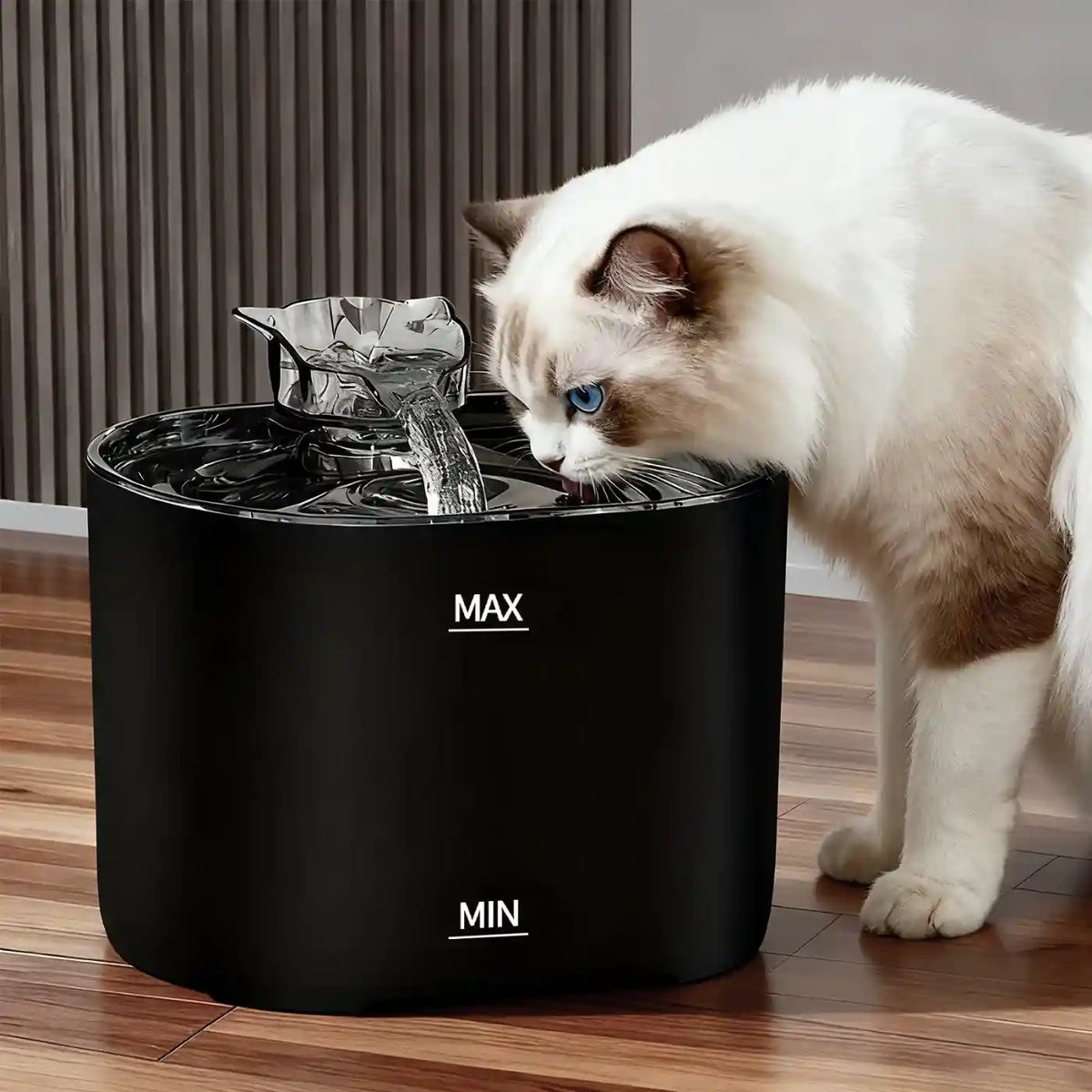 fontaine à eau pour chat