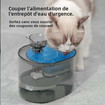 fontaine_eau_chat