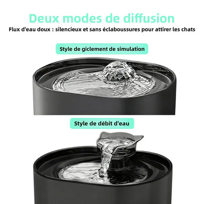 fontaine_eau_chat