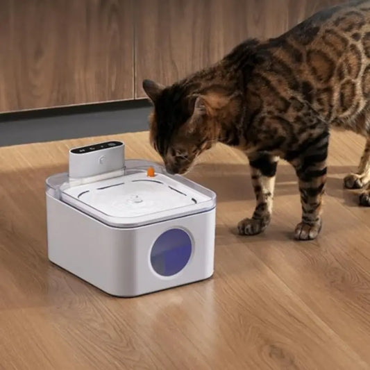 Fontaine à eau sans fil 3L capteur intelligent batterie 5200mAh pour chat - Litièrecat