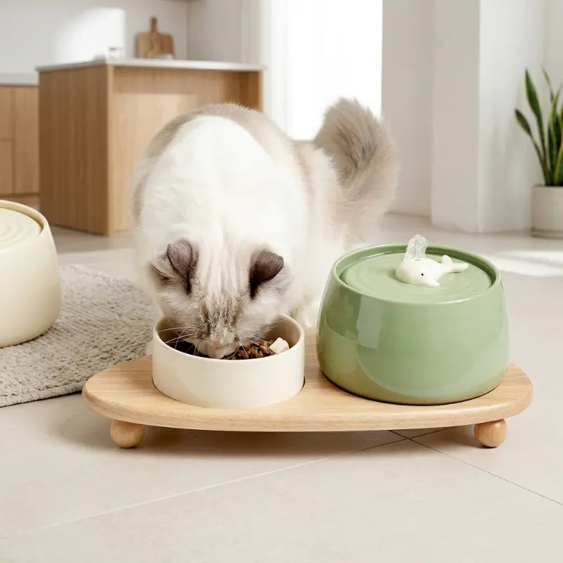 Fontaine céramique 850ml silencieuse rechargeable USB blanc vert pour chat - Litièrecat