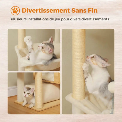 grand-arbre-a-chat maison