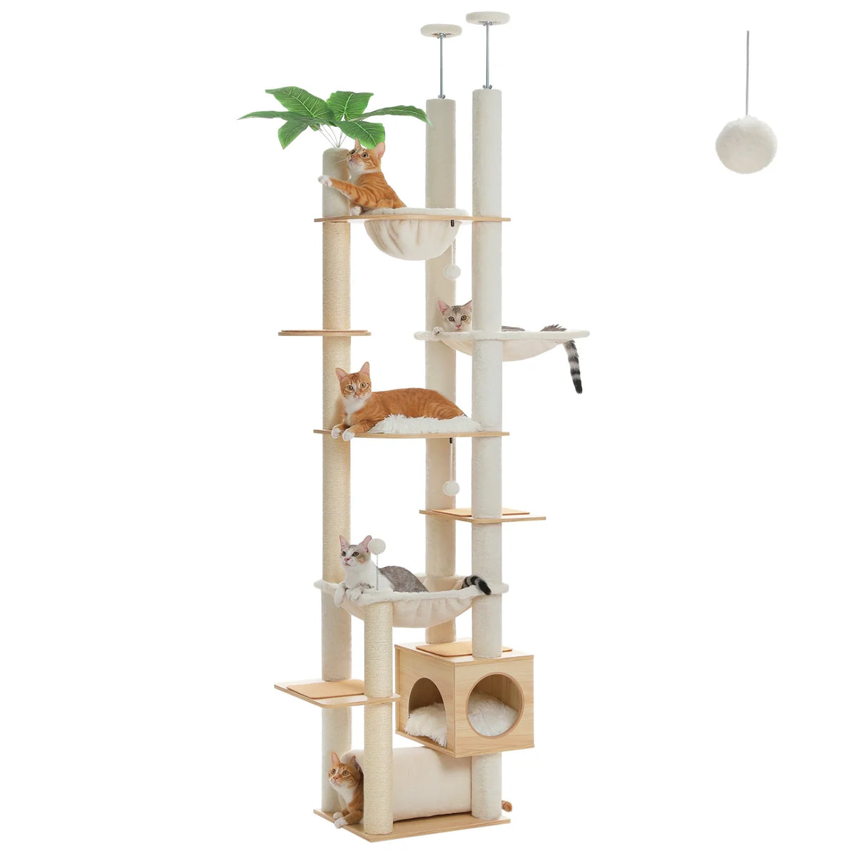 grand-arbre-a-chat maison