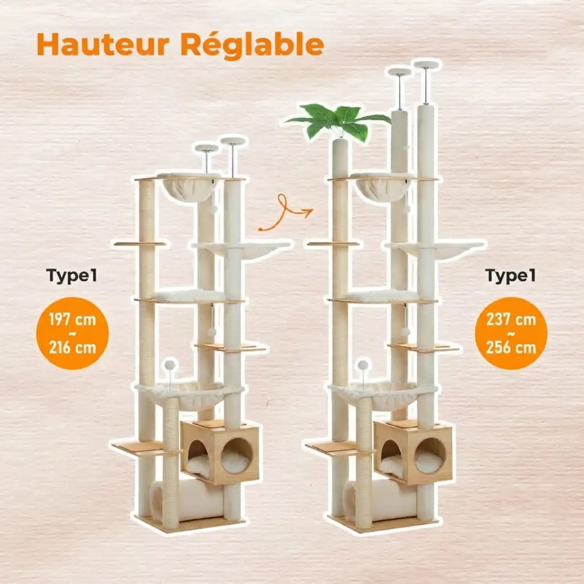 grand-arbre-a-chat maison