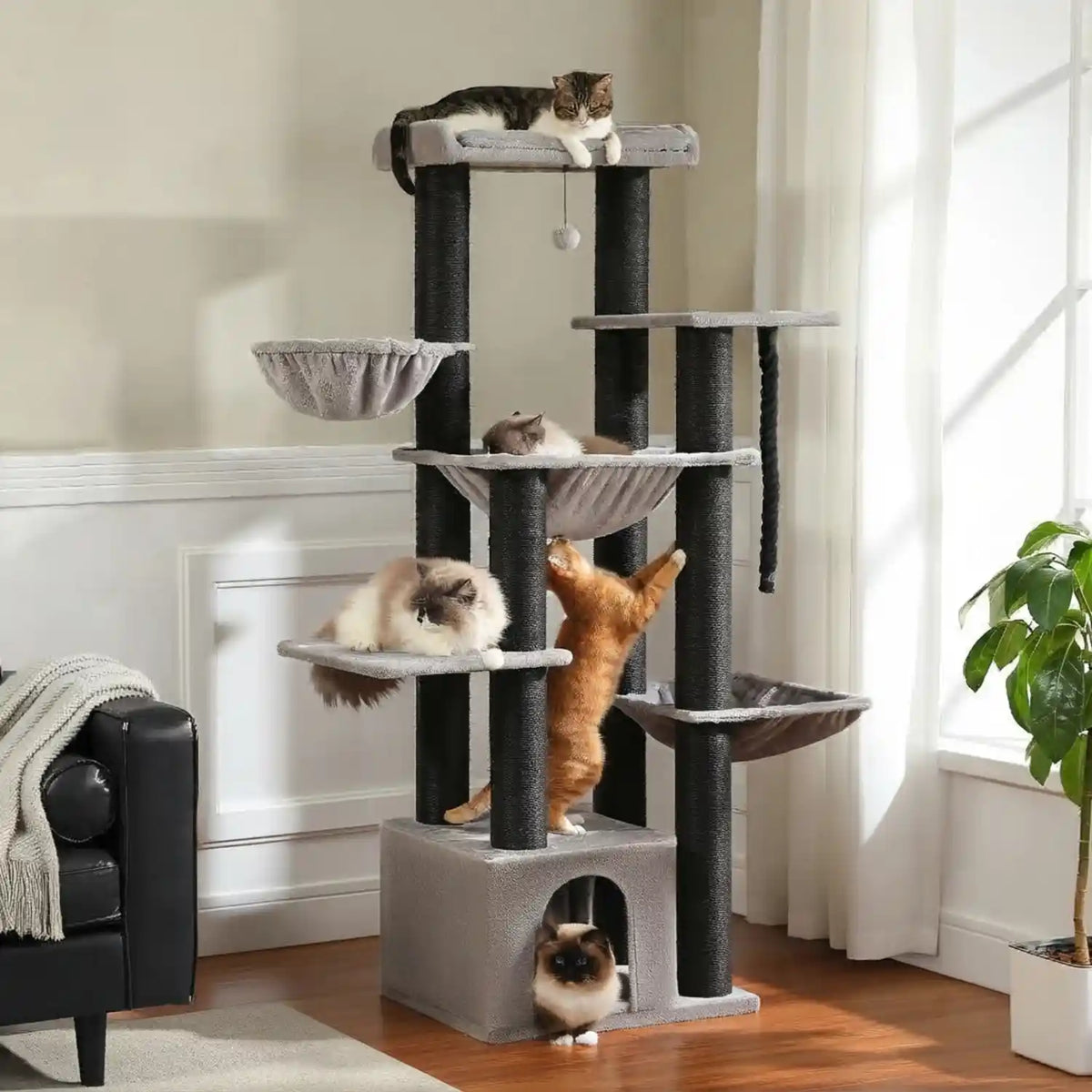 grand-arbre-a-chat